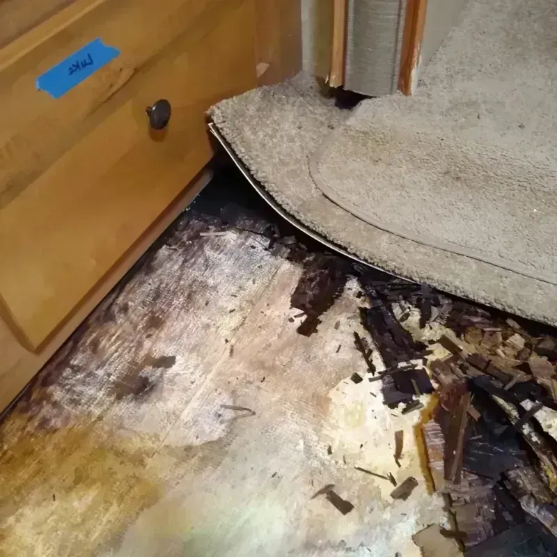 Wood Floor Water Damage in Warm Beach, WA